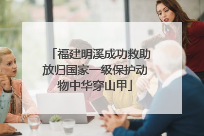 福建明溪成功救助放归国家一级保护动物中华穿山甲