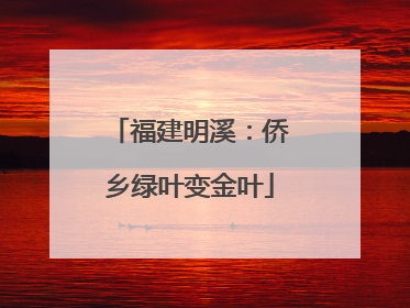 福建明溪：侨乡绿叶变金叶
