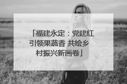福建永定：党建红引领果蔬香 共绘乡村振兴新画卷