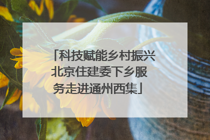 科技赋能乡村振兴 北京住建委下乡服务走进通州西集