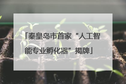 秦皇岛市首家“人工智能专业孵化器”揭牌