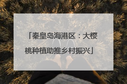 秦皇岛海港区：大樱桃种植助推乡村振兴
