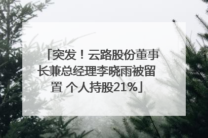 突发！云路股份董事长兼总经理李晓雨被留置 个人持股21%