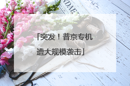 突发！普京专机遭大规模袭击