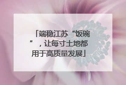 端稳江苏“饭碗”，让每寸土地都用于高质量发展