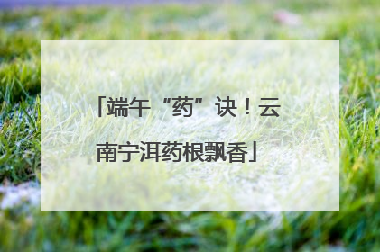 端午“药”诀！云南宁洱药根飘香