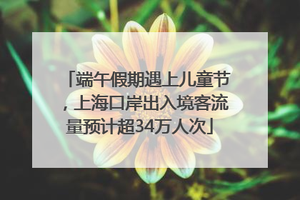 端午假期遇上儿童节，上海口岸出入境客流量预计超34万人次