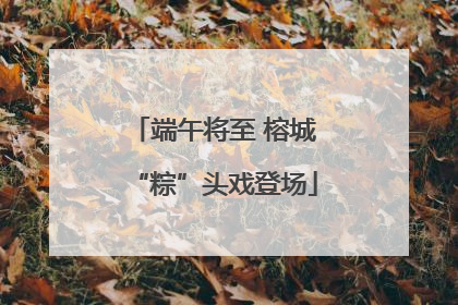 端午将至 榕城“粽”头戏登场