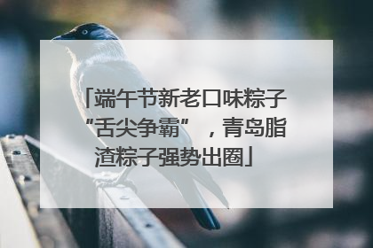 端午节新老口味粽子“舌尖争霸”，青岛脂渣粽子强势出圈