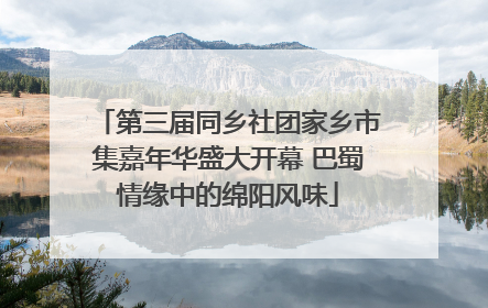 第三届同乡社团家乡市集嘉年华盛大开幕 巴蜀情缘中的绵阳风味