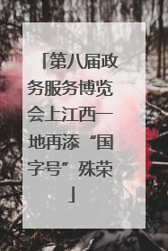 第八届政务服务博览会上江西一地再添“国字号”殊荣