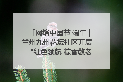 网络中国节·端午｜兰州九州花坛社区开展“红色领航 粽香敬老”端午主题活动