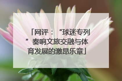 网评：“球迷专列”奏响文旅交融与体育发展的激昂乐章