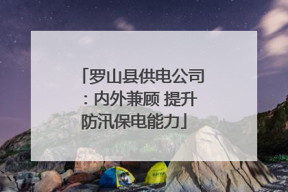 罗山县供电公司：内外兼顾 提升防汛保电能力