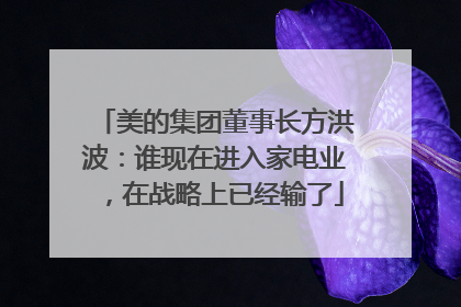 美的集团董事长方洪波：谁现在进入家电业，在战略上已经输了