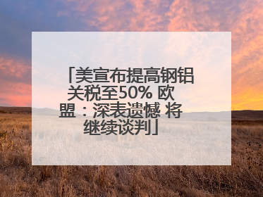 美宣布提高钢铝关税至50% 欧盟：深表遗憾 将继续谈判