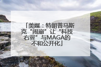 美媒：特朗普马斯克“闹崩”让“科技右翼”与MAGA的不和公开化