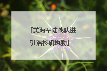 美海军陆战队进驻洛杉矶执勤