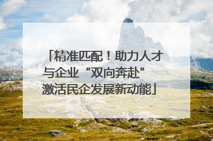精准匹配！助力人才与企业“双向奔赴” 激活民企发展新动能