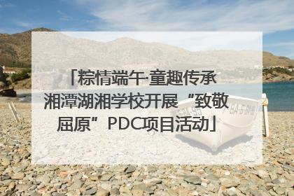 粽情端午·童趣传承 湘潭湖湘学校开展“致敬屈原”PDC项目活动