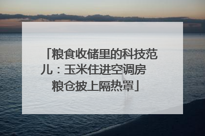 粮食收储里的科技范儿：玉米住进空调房 粮仓披上隔热罩