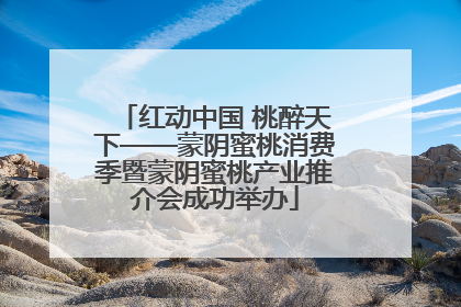 红动中国 桃醉天下——蒙阴蜜桃消费季暨蒙阴蜜桃产业推介会成功举办