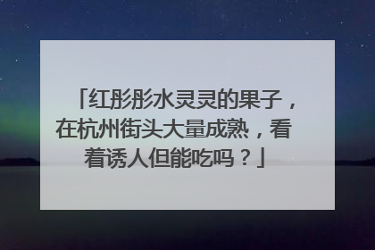 红彤彤水灵灵的果子，在杭州街头大量成熟，看着诱人但能吃吗？