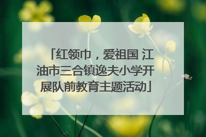 红领巾，爱祖国 江油市三合镇逸夫小学开展队前教育主题活动