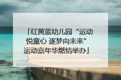 红黄蓝幼儿园“运动悦童心 逐梦向未来”运动嘉年华燃情举办
