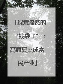 绿意盎然的“钱袋子”：高原夏菜成富民产业