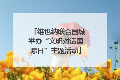 维也纳联合国城举办“文明对话国际日”主题活动