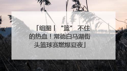 组图丨“篮” 不住的热血！常德白马湖街头篮球赛燃爆夏夜