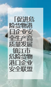 促进危险货物港口企业安全生产高质量发展 镇江市危险货物港口企业安全联盟成立