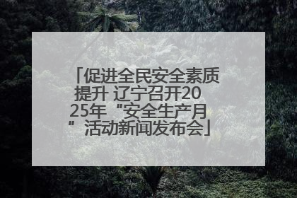 促进全民安全素质提升 辽宁召开2025年“安全生产月”活动新闻发布会