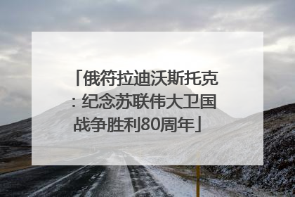 俄符拉迪沃斯托克：纪念苏联伟大卫国战争胜利80周年