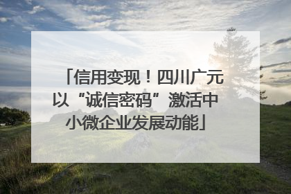 信用变现！四川广元以“诚信密码”激活中小微企业发展动能