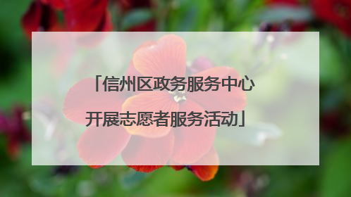 信州区政务服务中心开展志愿者服务活动