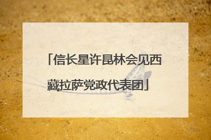信长星许昆林会见西藏拉萨党政代表团