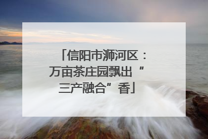 信阳市浉河区：万亩茶庄园飘出“三产融合”香