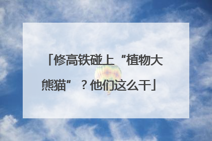 修高铁碰上“植物大熊猫”？他们这么干