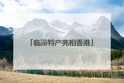 临潼特产亮相香港