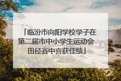 临汾市向阳学校学子在第二届市中小学生运动会田径赛中喜获佳绩