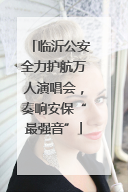临沂公安全力护航万人演唱会，奏响安保“最强音”