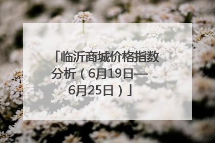 临沂商城价格指数分析（6月19日—6月25日）