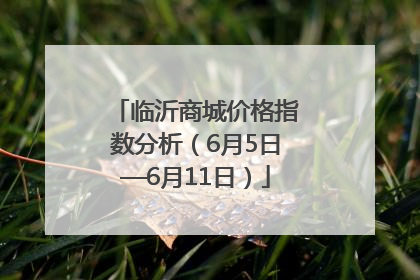 临沂商城价格指数分析（6月5日—6月11日）