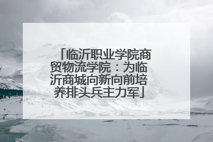 临沂职业学院商贸物流学院：为临沂商城向新向前培养排头兵主力军