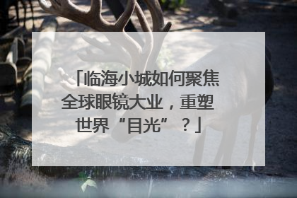 临海小城如何聚焦全球眼镜大业，重塑世界“目光”？