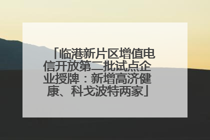 临港新片区增值电信开放第二批试点企业授牌：新增高济健康、科戈波特两家