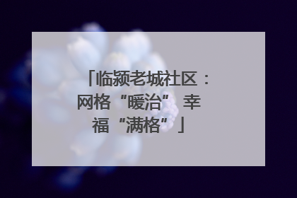 临颍老城社区：网格“暖治” 幸福“满格”