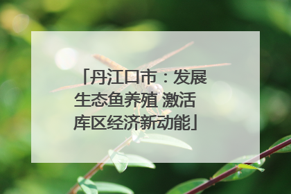 丹江口市：发展生态鱼养殖 激活库区经济新动能